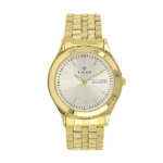 Titan 1648ym04 Metal Analog with Day and Date Watch for Men